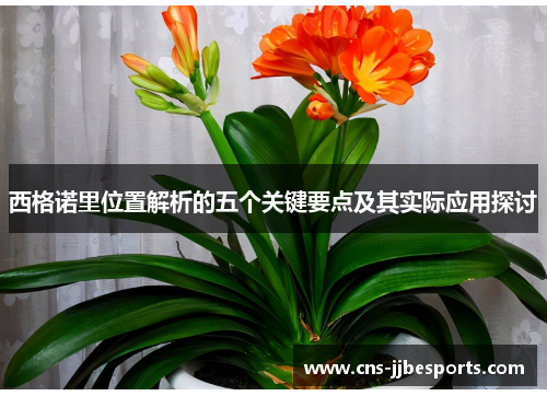 西格诺里位置解析的五个关键要点及其实际应用探讨 西格诺里位置解析的五个关键要点及其实际应用探讨