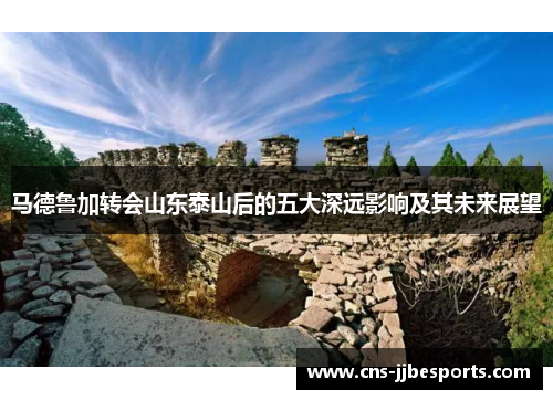 马德鲁加转会山东泰山后的五大深远影响及其未来展望