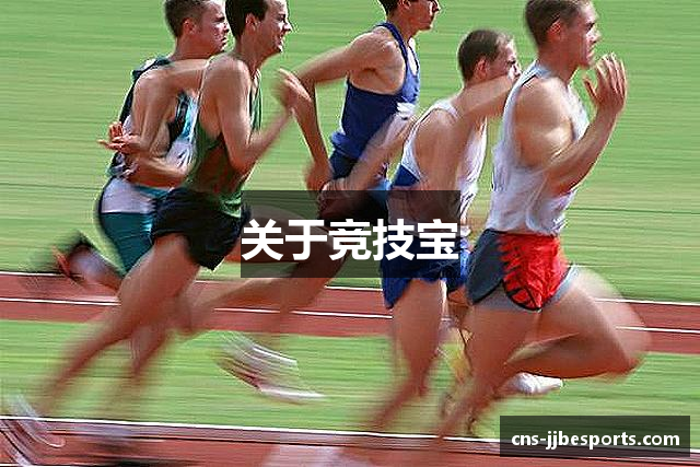 关于竞技宝